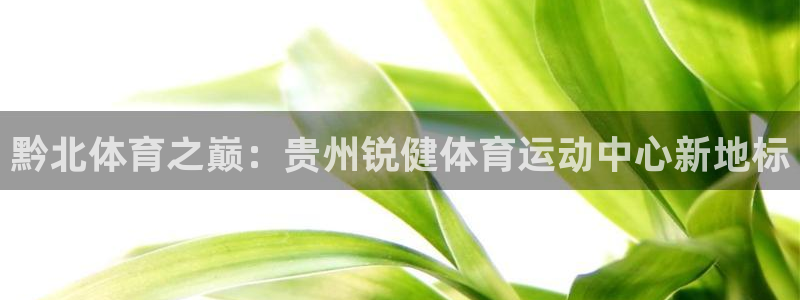 胜天国际体育官网注册：黔北体育之巅：贵州锐健体育运动中心新地标
