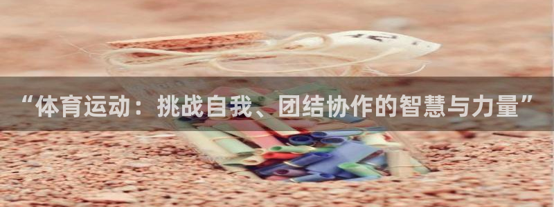 胜天国际2注册：“体育运动：挑战自我、团结协作的智慧与力量”