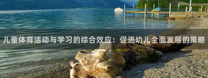 成都胜天国际电子有限公司：儿童体育活动与学习的综合效应：促进幼儿全面发展的策略