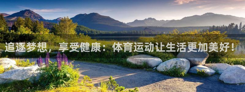 胜天国际平台注册：追逐梦想，享受健康：体育运动让生活更加美好！
