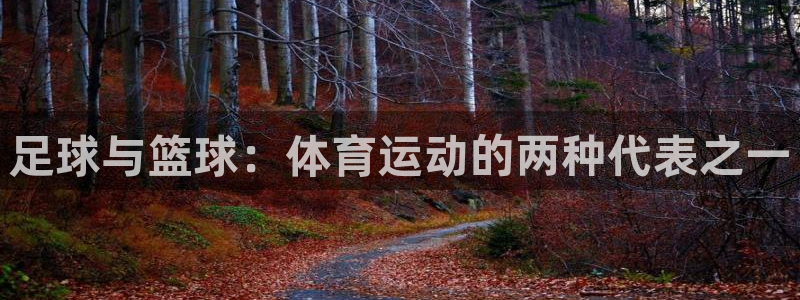 胜天国际体育平台登录入口：足球与篮球：体育运动的两种代表之一