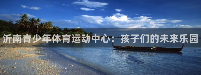 北京意昂科技有限公司：沂南青少年体育运动中心：孩子们的未来乐园