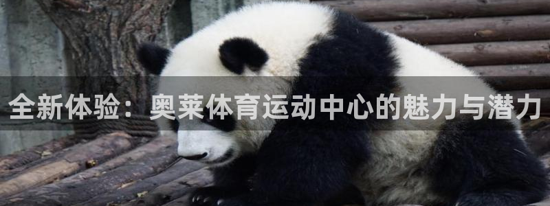 意昂集团股票：全新体验：奥莱体育运动中心的魅力与潜力