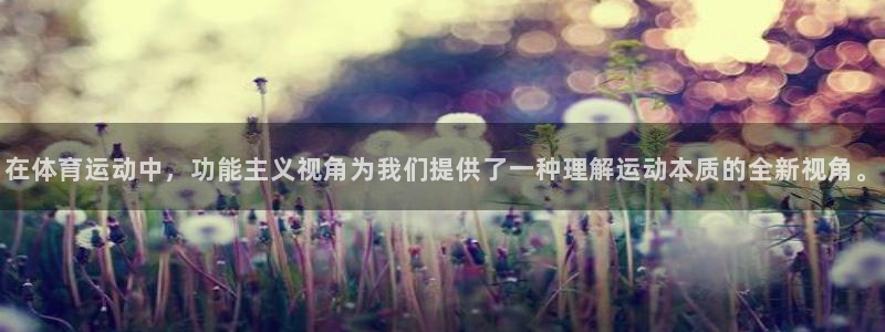 杭州意昂科技有限公司：在体育运动中，功能主义视角为我们提供了一种理解运动本质的全新视角。