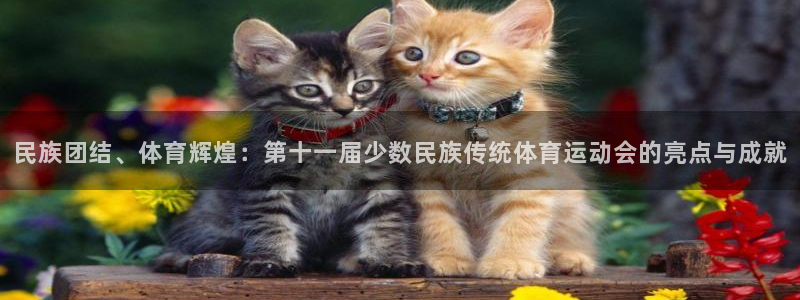 www.胜天国际体育.com：民族团结、体育辉煌：第十一届少数民族传统体育运动会的亮点与成就