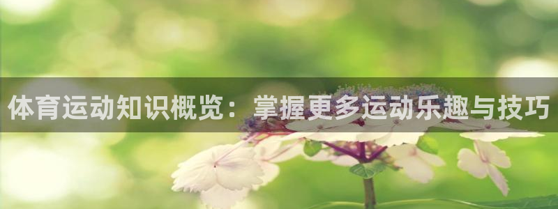 胜天国际代理注册：体育运动知识概览：掌握更多运动乐趣与技巧