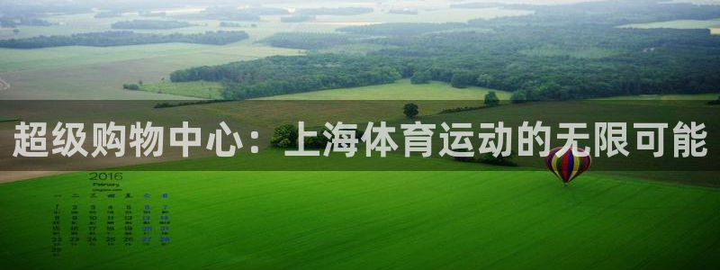 佛山市南海胜天国际机电仪器有限公司：超级购物中心：上海体育运动的无限可能