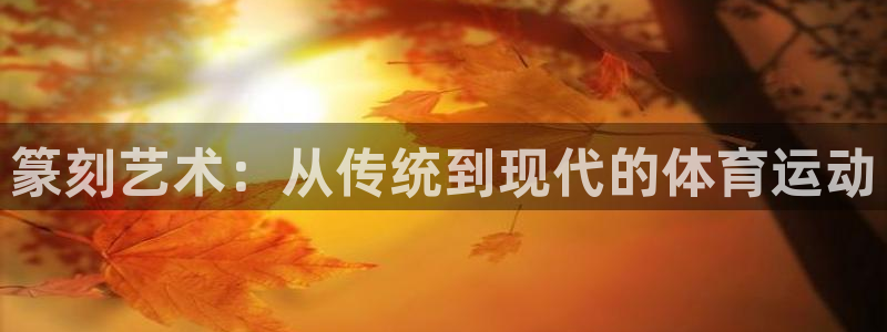 胜天国际平台开户链接：篆刻艺术：从传统到现代的体育运动