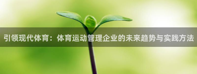 胜天国际体育用品：引领现代体育：体育运动管理企业的未来趋势与实践方法