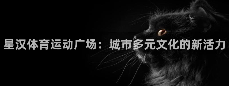 胜天国际3平台注册：星汉体育运动广场：城市多元文化的新活力