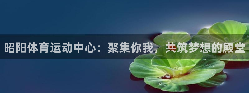 胜天国际代理注册：昭阳体育运动中心：聚集你我，共筑梦想的殿堂