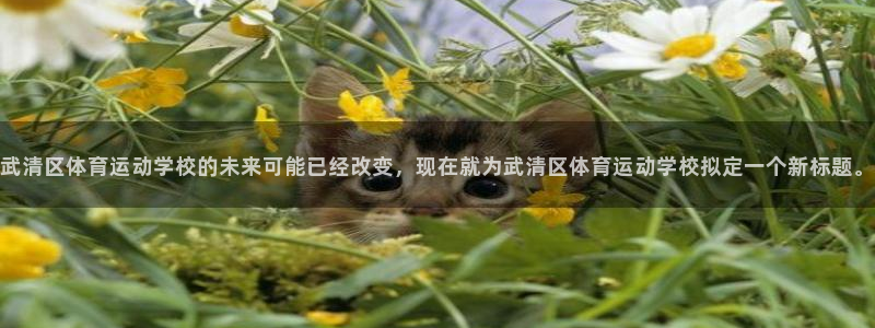意昂平台注册：武清区体育运动学校的未来可能已经改变，现在就为武清区体育运动学校拟定一个新标题。