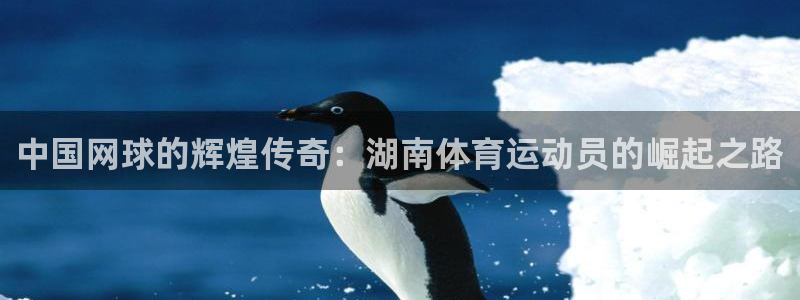 意昂kgame：中国网球的辉煌传奇：湖南体育运动员的崛起之路