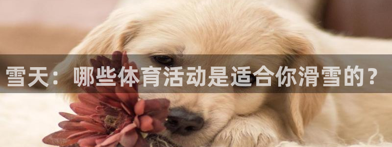 胜天国际4代理：雪天：哪些体育活动是适合你滑雪的？