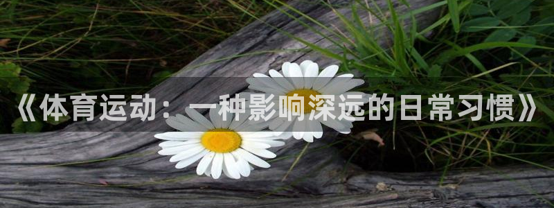 胜天国际平台：《体育运动：一种影响深远的日常习惯》