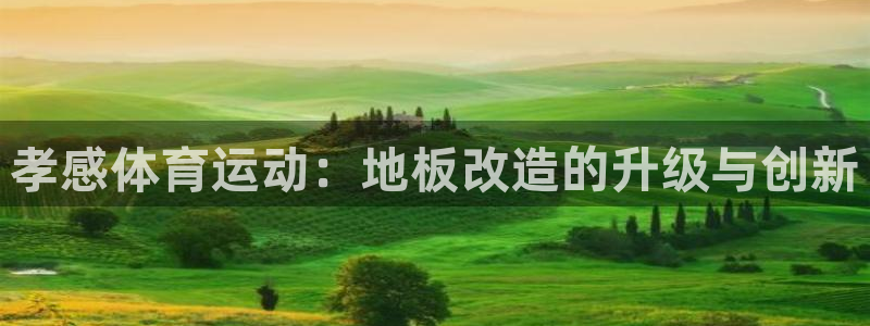 意昂：孝感体育运动：地板改造的升级与创新