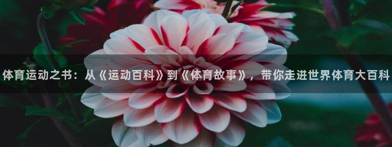 德国意昂集团：体育运动之书：从《运动百科》到《体育故事》，带你走进世界体育大百科