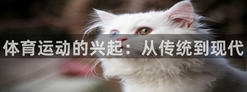 胜天国际体育用品：体育运动的兴起：从传统到现代