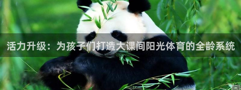 意昂新能源汽车科技有限公司：活力升级：为孩子们打造大课间阳光体育的全龄系统