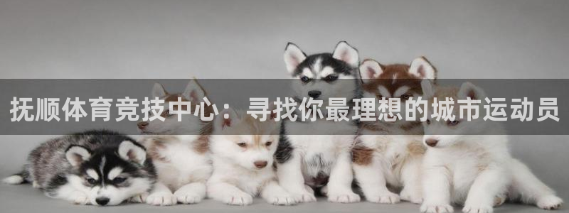 胜天国际3官网登录：抚顺体育竞技中心：寻找你最理想的城市运动员